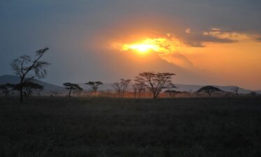 Tanzania – Big Migration