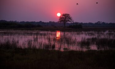 zambia e Botswana