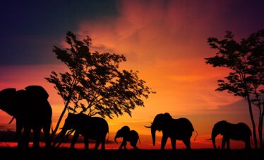 Tanzania e Zanzibar